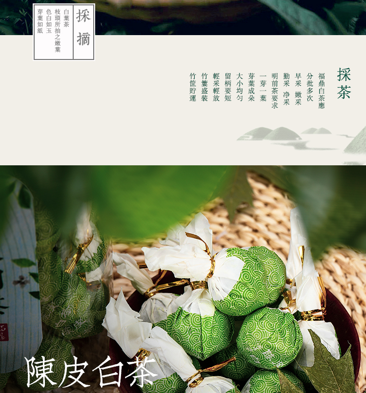 陈皮白茶_06.jpg